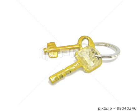 2 types of golden key in the ring with with background. 88040246