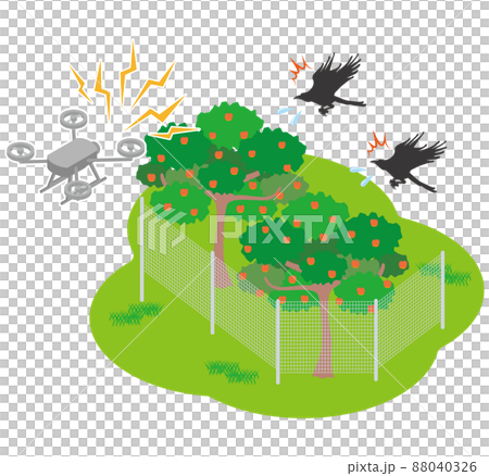 A drone that exterminates crows that ruin the orchard 88040326