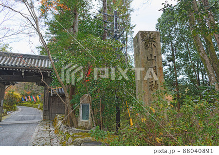 京都 赤山禅院 山門 88040891