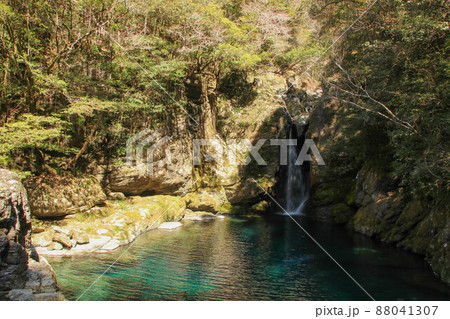高知県いの町　にこ淵の風景 88041307