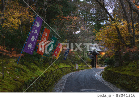京都 赤山禅院 夕暮れの参道風景 88041316