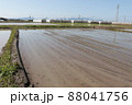 田植えを待つ宮崎市の田んぼの風景 88041756