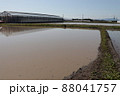 田植えを待つ宮崎市の田んぼの風景 88041757