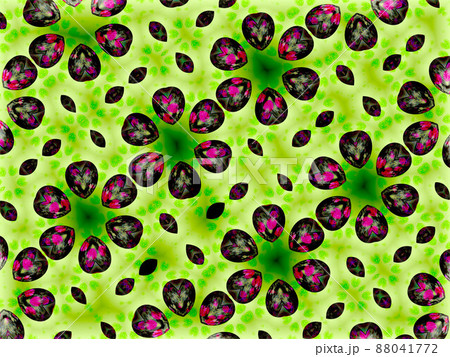 フレッシュ 88041772