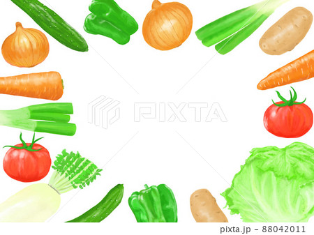 人参、じゃが芋、レタス、ネギ、大根、玉ねぎなどの普段使う野菜のフレーム、リアルイラスト素材 人参、じゃが芋、レタス、ネギ、大根、玉ねぎなどの普段使う野菜のフレーム、リアルイラスト素材 88042011