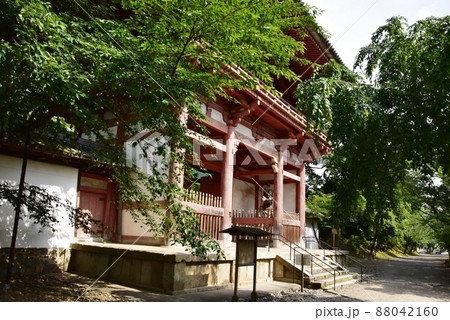 京都市伏見区 醍醐寺境内の西大門(仁王門)と新緑と参道 京都市伏見区 醍醐寺境内の西大門(仁王門)と新緑と参道 88042160