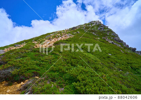 夏の北八ヶ岳 東天狗岳西側の中腹から東天狗山頂方面を見上げる 88042606
