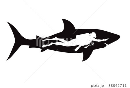 diver beside shark silhouette 88042711