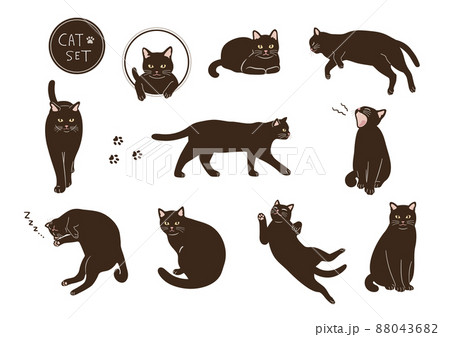 黒猫のイラストセットのイラスト素材 [88043682] - PIXTA