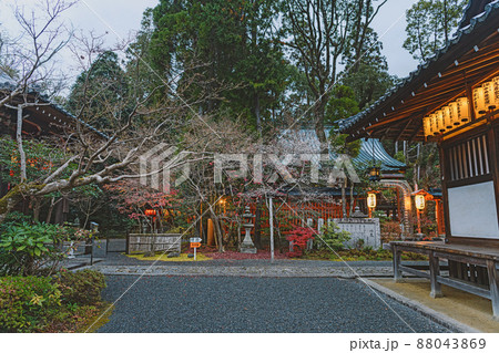 京都 赤山禅院 夕暮れの境内の秋景色 88043869