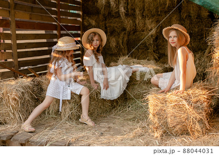 Friendly preteen girls sitting on haystack in hayloft on summer day Friendly preteen girls sitting on haystack in hayloft on summer day 88044031
