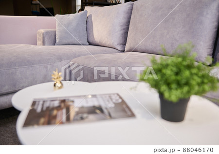Focus on a velour upholstered soft settee with light cushions of light pastel colours with blurred journal table with catalogue and potted green plants on the foreground 88046170