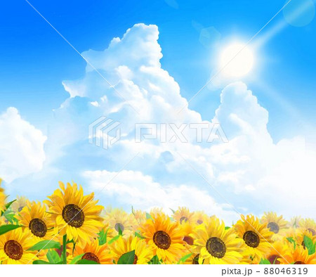 入道雲のある青空に輝く太陽の下美しいひまわりが咲くひまわり畑の初夏フレーム背景素材のイラスト素材