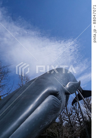 風景　写真　上野博物館の鯨　空飛ぶ鯨　上野の空を泳ぐ鯨 88047071