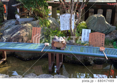 お金がカエル池（銭洗池　三光稲荷神社　愛知県 犬山市） 88047489