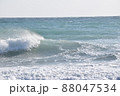 静岡県　浜松市　中田島海岸　　 88047534