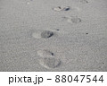 静岡県　浜松市　中田島砂丘　　 88047544