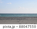 静岡県　浜松市　中田島砂丘　 88047550