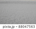 静岡県　浜松市　中田島砂丘　 88047563
