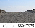 静岡県　浜松市　中田島砂丘　 88047575