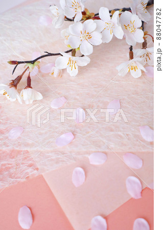 ピンクの和紙背景の桜の枝 縦 ピンクの和紙背景の桜の枝 縦 88047782
