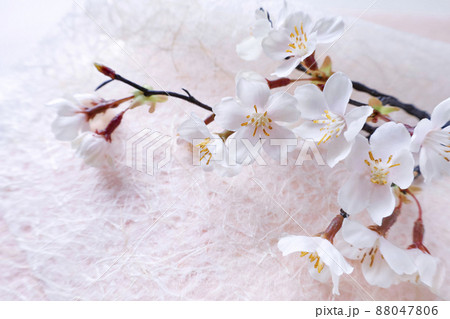 ピンクの和紙背景の桜の枝 ピンクの和紙背景の桜の枝 88047806