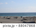 静岡県　浜松市　中田島砂丘　 88047868
