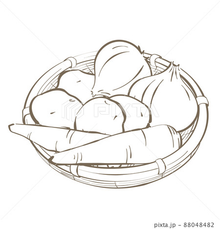 食材セット 野菜線画(カレー)カゴ有 食材セット 野菜線画(カレー)カゴ有 88048482