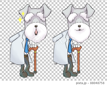 Dr. Schnauzer series (whole body. Impressed and smiling) Dr. Schnauzer series (whole body. Impressed and smiling) 88048758