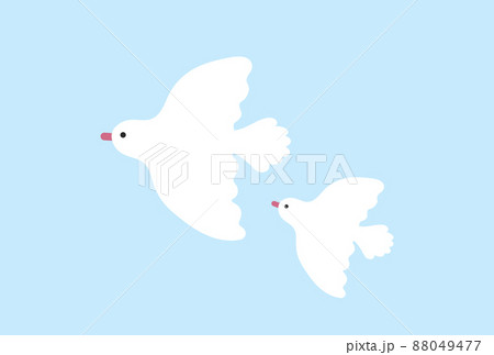 青空を飛んでいる白い鳩の親子 平和 親子 子育てのイメージ素材のイラスト素材