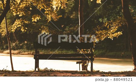 Background of city park in spring with trees, bushes and bench.island and the lake Background of city park in spring with trees, bushes and bench.island and the lake 88049521