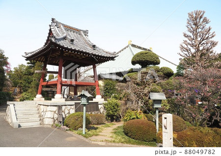 密蔵院 安行桜 密蔵院 安行桜 88049782