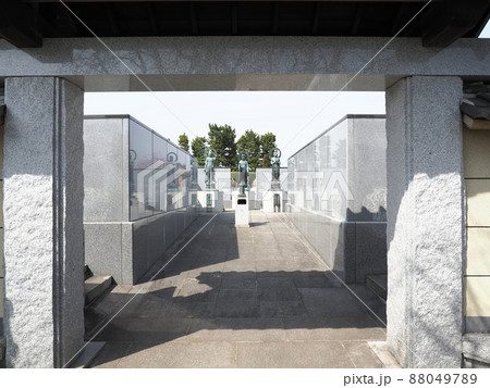 密蔵院 安行桜 密蔵院 安行桜 88049789