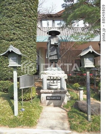 密蔵院 安行桜 密蔵院 安行桜 88049809