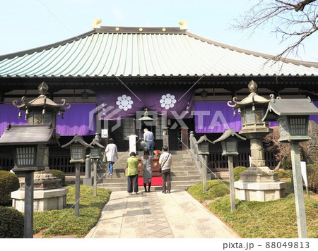 密蔵院 安行桜 密蔵院 安行桜 88049813