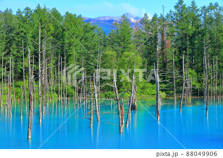 北海道 夏の晴天下の十勝連峰と青い池の写真素材 北海道 夏の晴天下の十勝連峰と青い池の写真素材