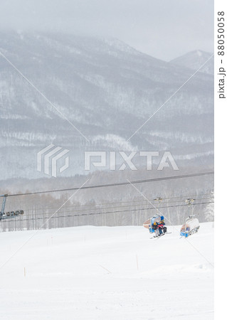冬　雪の中の木々　新潟県のスキー場／2月撮影 88050058