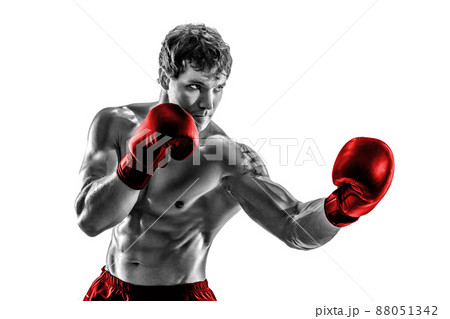 Studio shot of silhouette boxer who training, practicing uppercut on white background. Red gloves  88051342