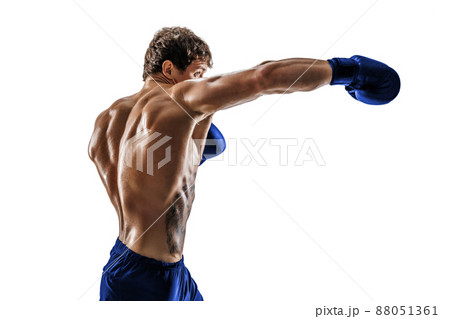 Side view of boxer in blue gloves who practicing swing on white background. Sport concept Side view of boxer in blue gloves who practicing swing on white background. Sport concept 88051361