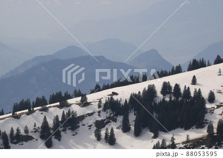 Trees on a ridge of Mount Rigi and outlines of peaks in the background. Trees on a ridge of Mount Rigi and outlines of peaks in the background. 88053595