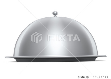 Silver tray with cloche ready to serve isolated on white background 88053744