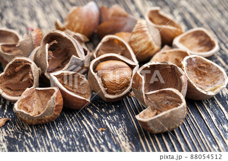 split hazelnuts on the table 88054512