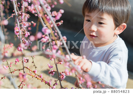 子供 ポートレート 子供 ポートレート 88054823