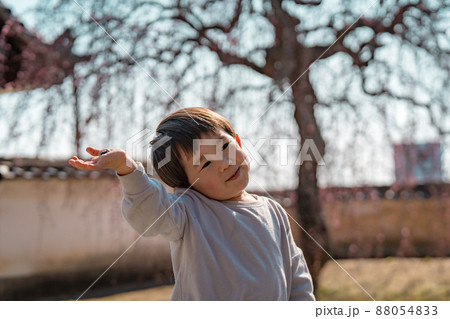 子供 ポートレート 子供 ポートレート 88054833