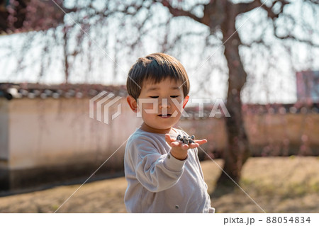 子供 ポートレート 子供 ポートレート 88054834