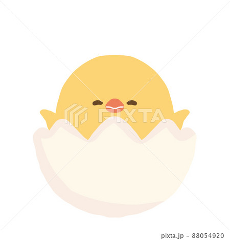 卵からひよこ　喜ぶ 88054920