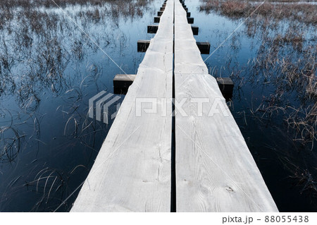 Tuhu nature Tuhu nature walking trail. wooden footbridges in the swamp. Estonia 88055438