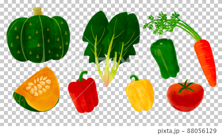 食育 緑黄色野菜セットの手描きイラストのイラスト素材