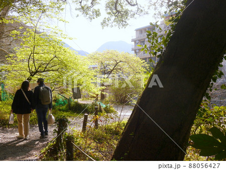 箱根湯本駅　駅近の穴場　ほたる公園 88056427