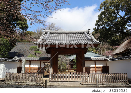 早雲寺 早雲寺 88056582
